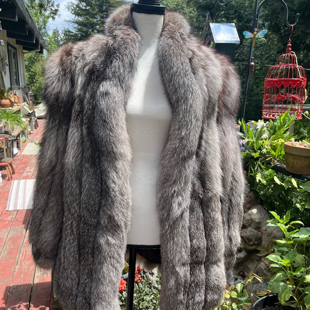 Silver fox coat